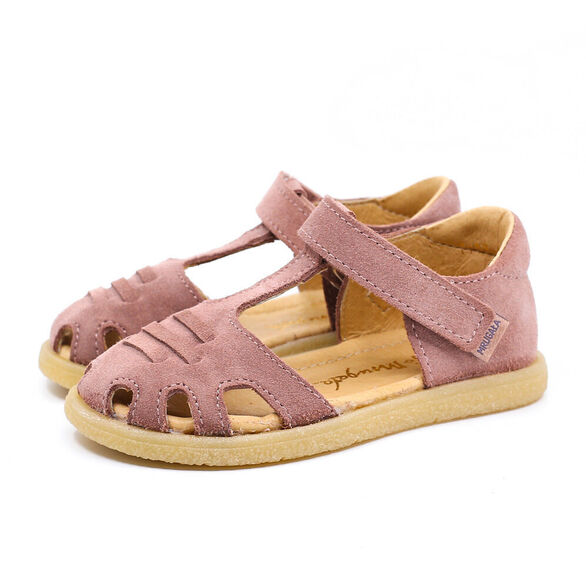 lola-rosa-1a.jpg
