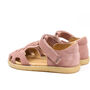 lola-rosa-2a.jpg